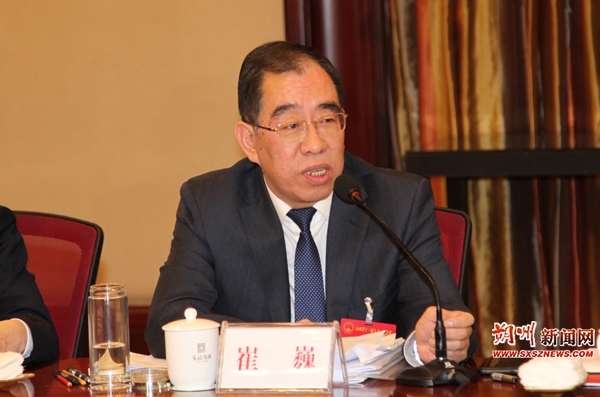 崔巍参加朔州代表团审议