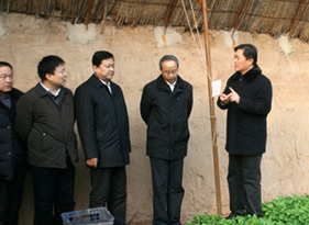 公司董事长在向各省市领导介绍种植基地有机蔬菜生产情况