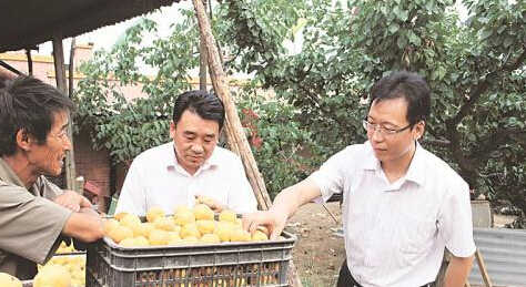 繁峙县富云牧业有限公司：小鸡蛋“抢滩”北京大市场