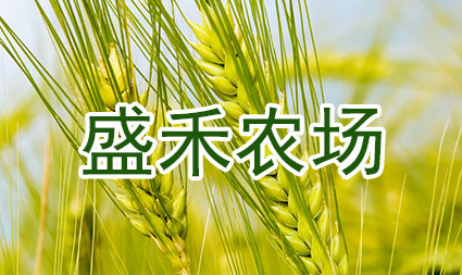 盛禾农场