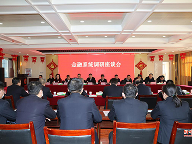 张韬调研金融系统工作并召开座谈会
