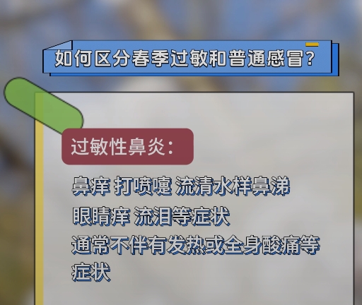 春季过敏大揭秘