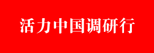 活力中国调研行