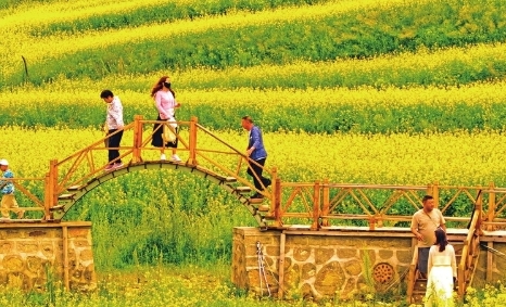 千亩油菜花 催热乡村游